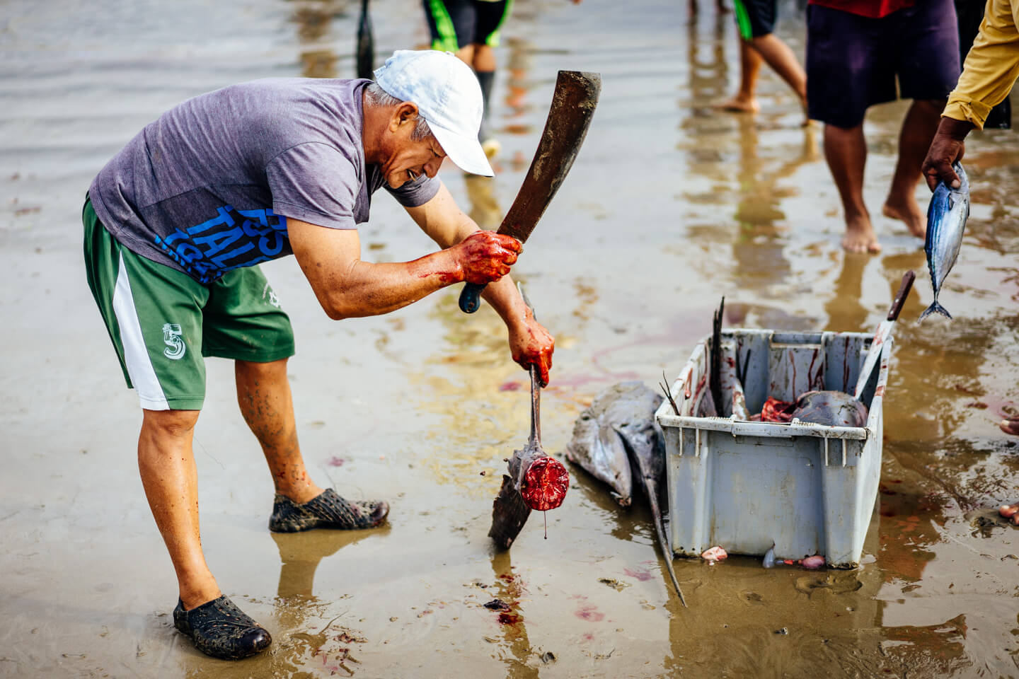 Marché aux poissons de Puerto Lopez